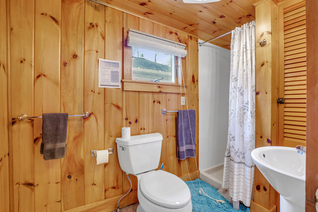 Image 11 for Blackbird Hollow