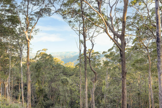 Image 10 for Train - Eastbound cabin