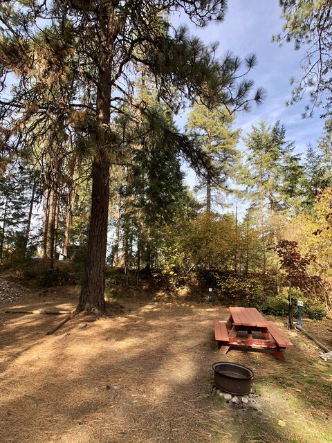 Image 2 for T-55) Tent Site