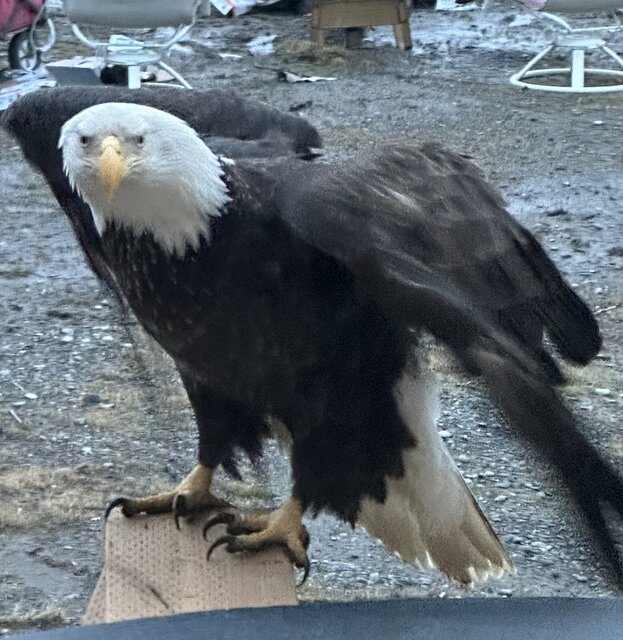 Image 23 for Paradise Suites Eagle's Nest