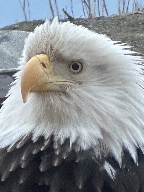 Image 24 for Paradise Suites Eagle's Nest