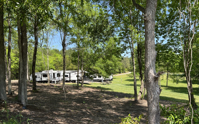 Image 3 for 04) Back In Site - 20/50 AMP - 55ft x 30ft