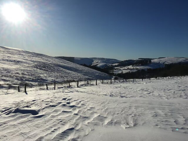 Image 6 for Seren Fach