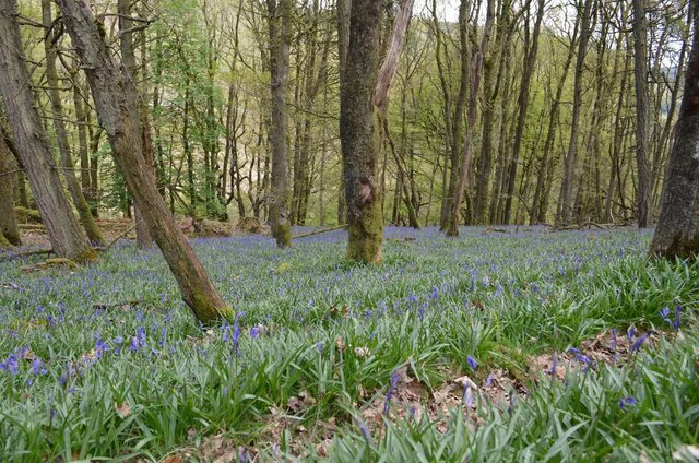 Image 23 for Nant Henfron