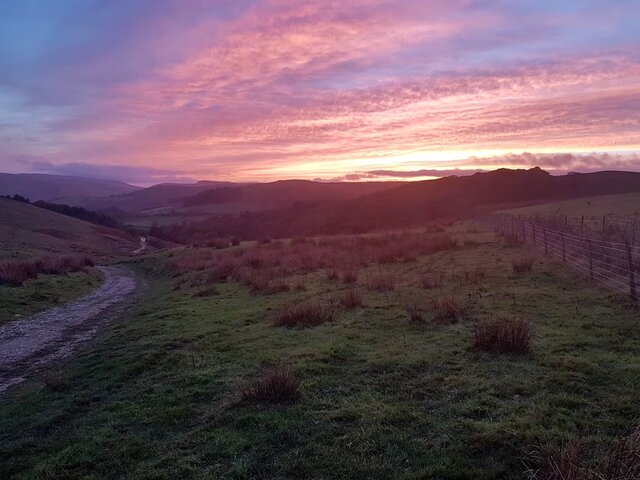 Image 21 for Seren Fach