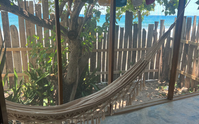 Image 9 for The Maya Suite