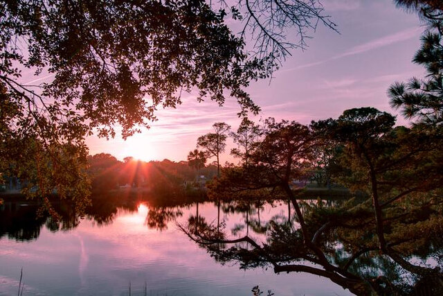 Image 1 for Sunset Shack