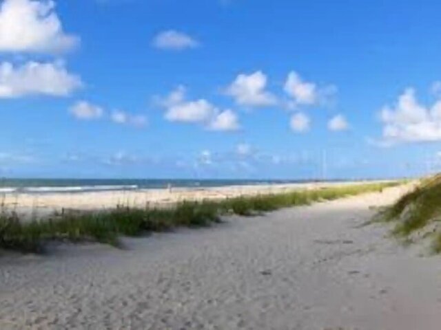 Image 21 for Shady Shack