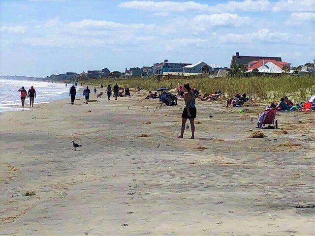 Image 20 for Shady Shack