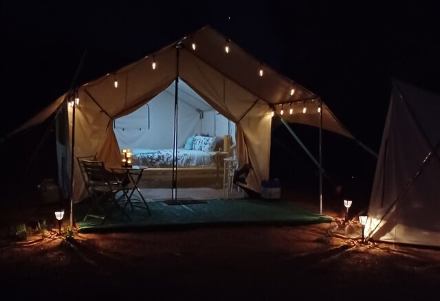 Image 4 for Sadie's Place