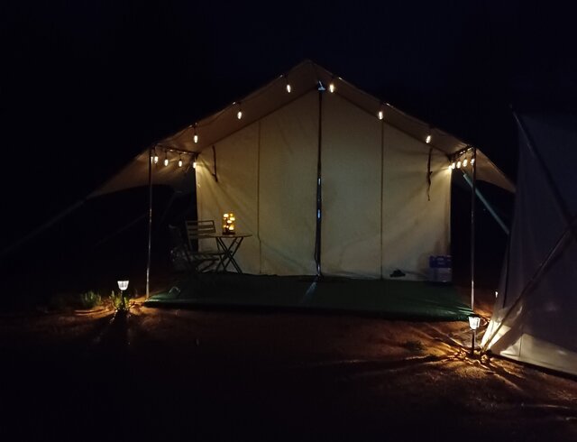 Image 5 for Sadie's Place