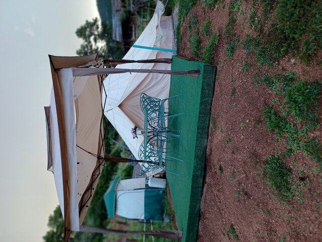 Image 1 for Shyla's Place