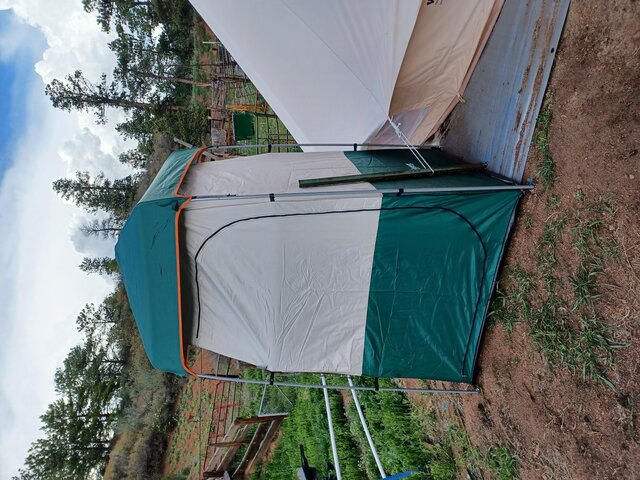 Image 7 for Shyla's Place