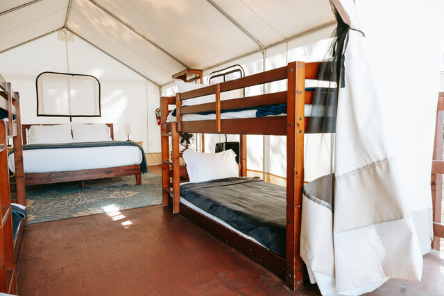 Image 2 for Tent - Standard Bunk Beds
