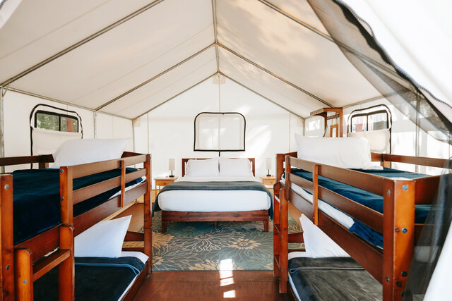 Image 1 for Tent - Standard Bunk Beds