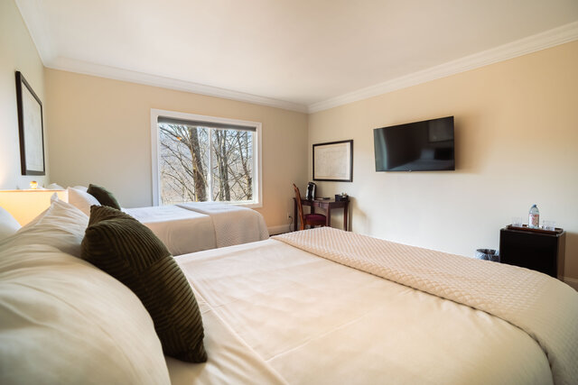 Image 3 for 02) Double Queen Room - Lower Level