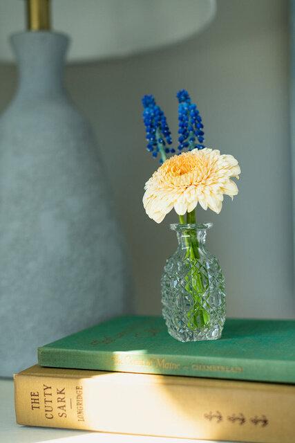 Image 4 for RM 11 Oceanfront King Bed 1st Floor Lawn Access