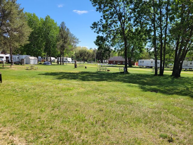 Image 2 for 112) Back In Site