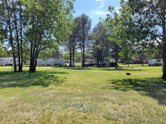 Image 1 for 211) Back In Site