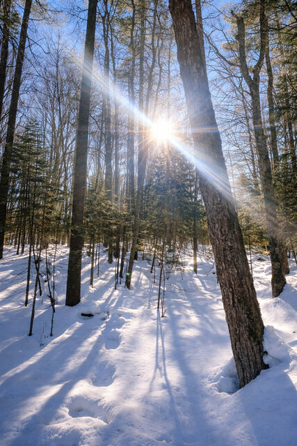 Image 11 for Maple Cabin