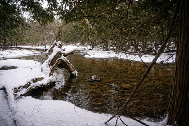 Image 22 for Ash Cabin