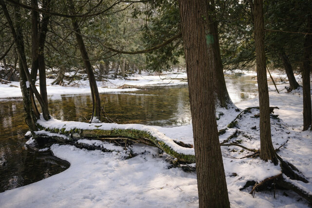 Image 21 for Ash Cabin