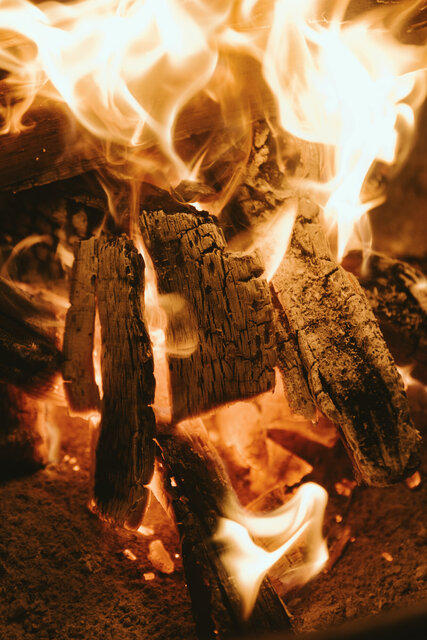 Image 1 for Firewood + Starter Bundle