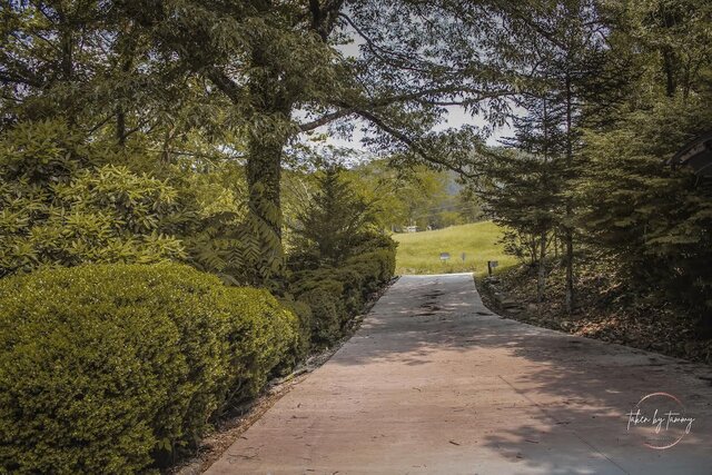 Image 16 for Mountain Roots