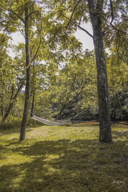 Image 4 for Mountain Roots