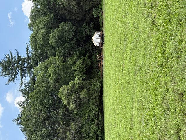 Image 2 for Oak Hangout