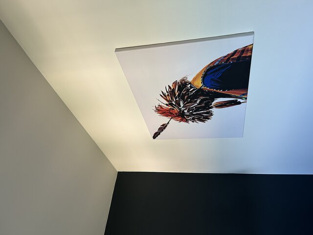 Image 4 for Single Queen Room