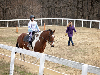 Image 1 for Riding Lesson - 1 hour (Ages 8 and up)