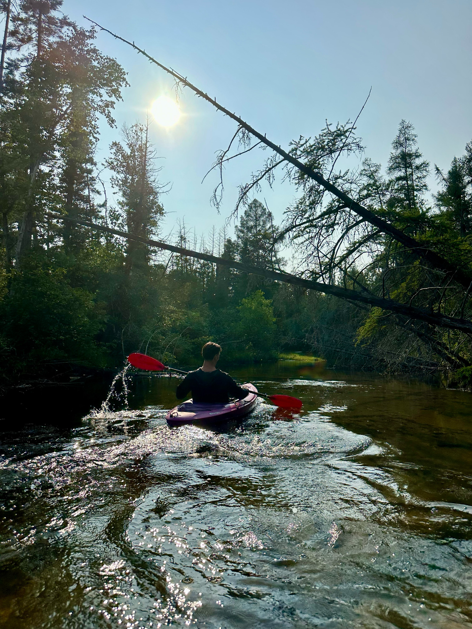 Image for Kayak Rental