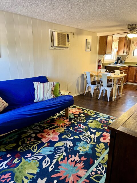 blue couch, flower rug