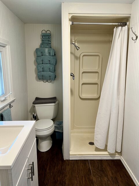 Sink, toilet, shower