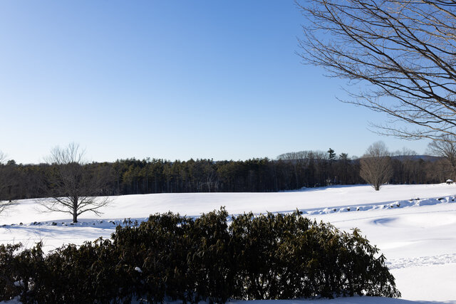 Image 7 for Green Room