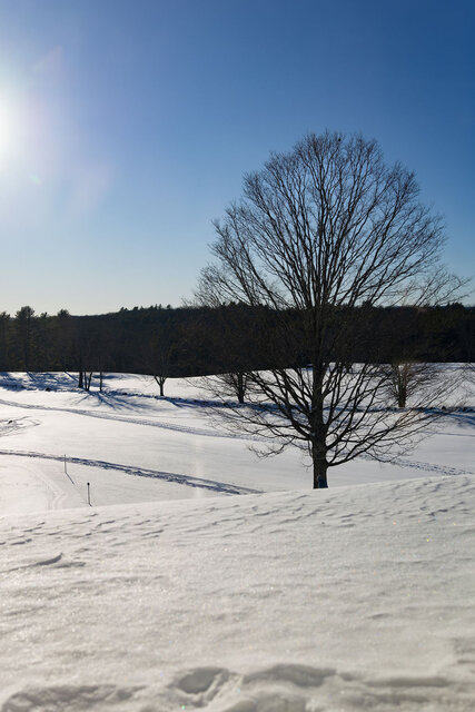 Image 4 for Yellow Room