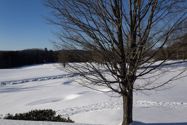 Image 5 for Blue Room