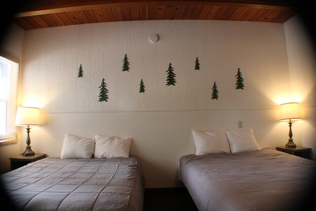 Image 2 for A14 Motel Queen/Double