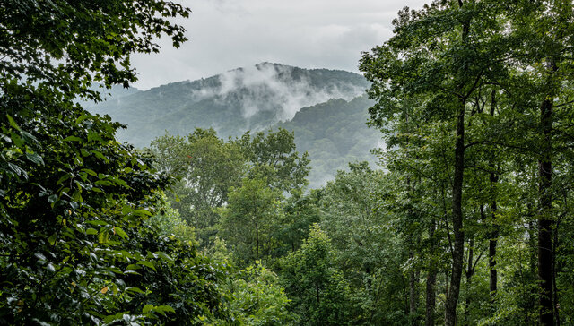 Image 7 for Bear Foot Lodge (1 BR Sleeps 4)