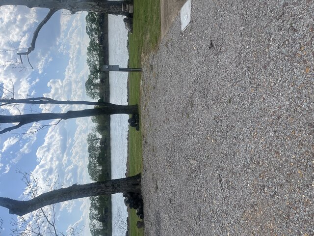 Image 1 for Riverfront Site #207 (Back-in)