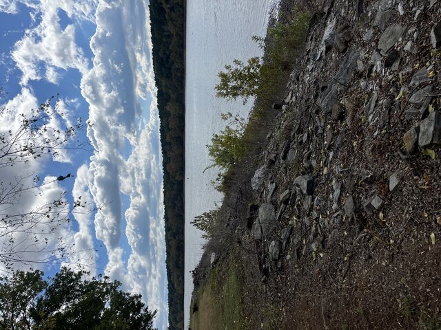 Image 3 for Site #303 (Back-In)