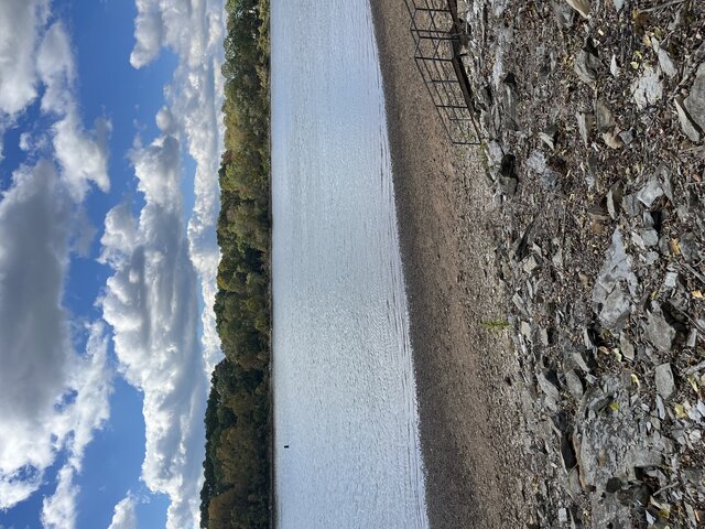 Image 2 for Site #303 (Back-In)