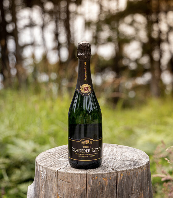 Image 1 for Celebration Package $97