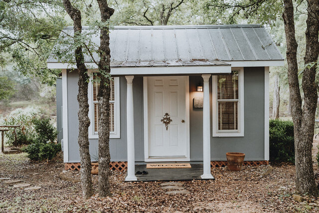 Image 2 for The Little Bird