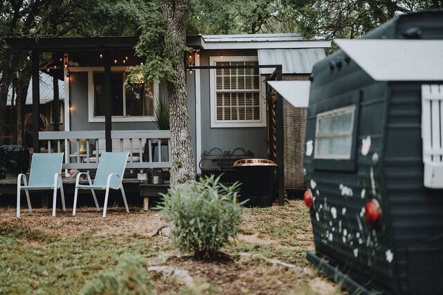 Image 14 for The Little Bird