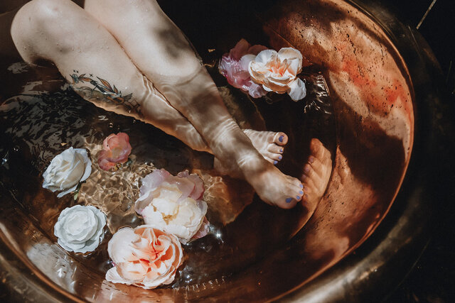 Image 1 for The Little Bird