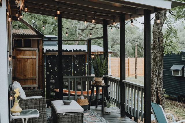 Image 12 for The Little Bird