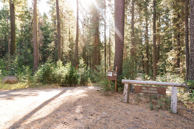 Image 1 for Campsite Z Camp