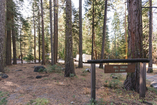 Image 1 for Campsite V Camp